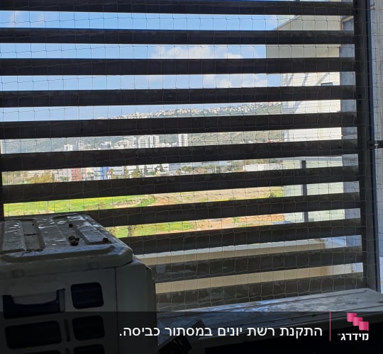 רשת למניעת כניסת יונים על חלון